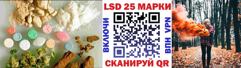 где можно купить наркотик  Медвежьегорск  omg ССЫЛКА  ЛСД экстази кислота 